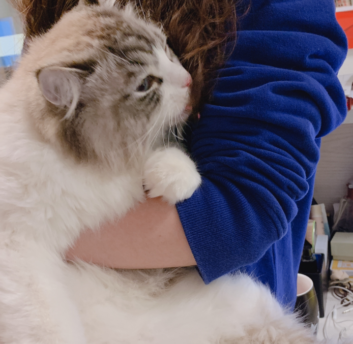 张家港韩语培训韦老师18015678234(同微信)