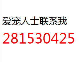 请输入描述
