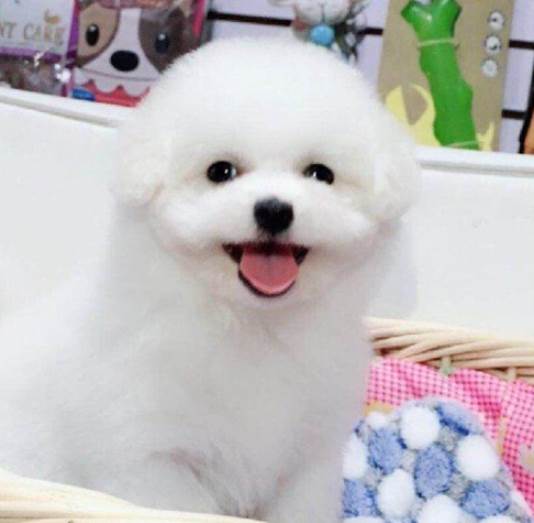 请输入描述