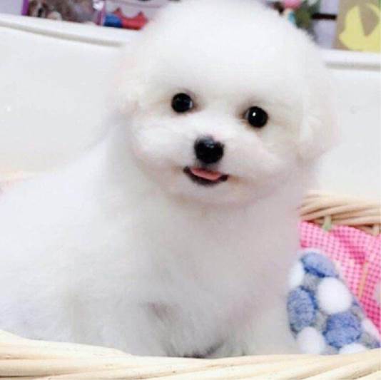 请输入描述