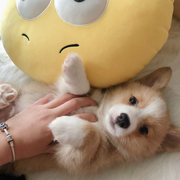 请输入描述